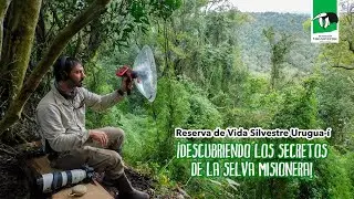 ¡🔎 Descubriendo los secretos de la selva misionera!