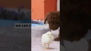 When you gotta go, you gotta go