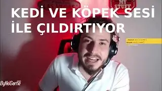 ATABERK DOĞAN Kokoreççiyi Kedi Ve Köpek Sesi İle ÇILDIRTIYOR.