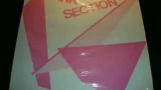 Pink Section- Wine World