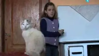 Siromaštvo boli ćerku i majku u Futogu