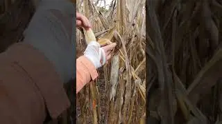 Stories e erotik