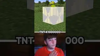 TNT X1 vs X1000000 🤯 