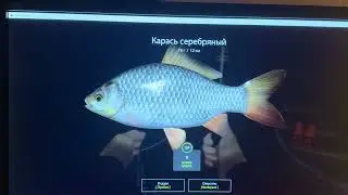 13 декабря 2023 г.