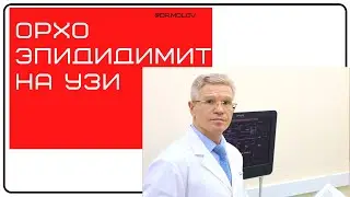 Орхоэпидидимит - частая болезнь мужчин на УЗИ мошонки