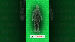 Wireframe Human in a Binary Code Matrix: Dynamic Green Screen Clip