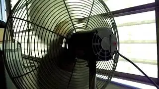 (----) Dayton 3C217B 24'' Industrial Fan