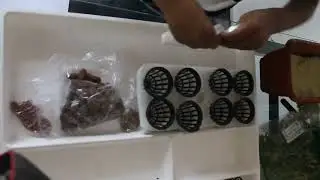 magic pot@2021