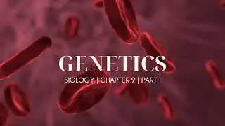 Genetics | Mendelian inheritance | Part 1