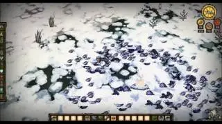 Don't Starve | Krampi and Bird Farm