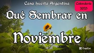 🌱Que SIEMBRO en NOVIEMBRE? 🌱Calendario de Siembra 2024. VLOG Mujer Bonita 128
