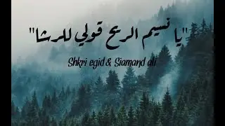 Shkri egid & Siamand ali - Silence عبد الرحمن محمد - سكون /يانسيم الريح قولي للرشا/ Cover Guitar