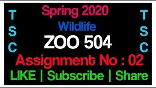 Zoo 504 Assignment No 2 Solution Spring 2020