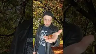 Странные вещи, которые все делали в детстве 😂 