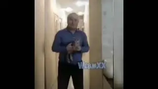 Бедный кот.... Киселечек стал реально кисилечком... 