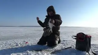 Не клюет плотва🐟 Ловим подлещика 🐠