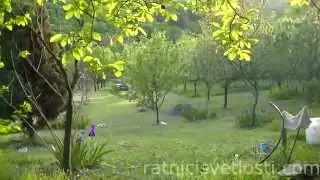 VEŽBA ZA ULAZAK U VORTEKS
