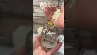 ✨️💵¡Ritual del Dinero!  