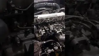 исузу NQR714HG1 замена топливного насоса