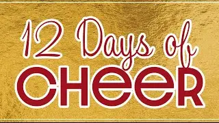 FSS Minute: 12 Days of Cheer