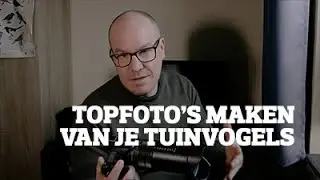 4 tips voor de beste vogelfoto's