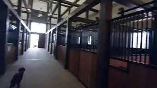 Я подозвал коня...