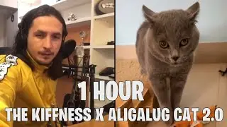 1 HOUR The Kiffness X Alugalug Cat 2.0 (Please Go Away)