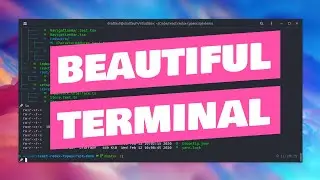 Beautiful Terminal Customization for Linux and Mac