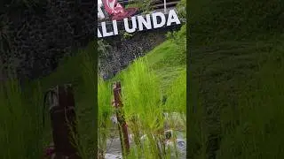 𝙠𝙖𝙡𝙞𝙪𝙣𝙙𝙖