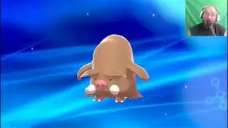 Evolving Swinub into Mamoswine Pokemon Sword and Shield