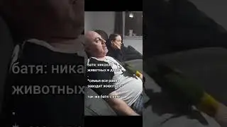 #юмор #папугай #мем