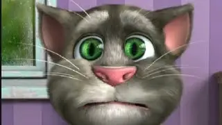 MY TOM 2