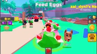 ALL CODES FOR PET SWARM SIMULATOR