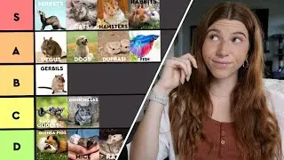 Ranking Pets I'd Love (and Never Want) to Own 😧