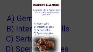 #kmucat / kmucat test Preparation 2024 / most important mcqs for kmucat test /#biology #mdcatmcqs