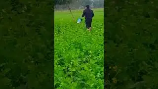 farming 🌾