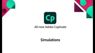 Simulations