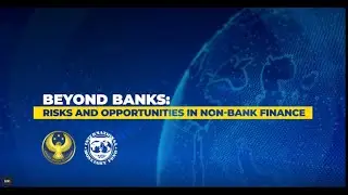 Beyond Banks: Risks and Opportunities in Non-Bank Finance