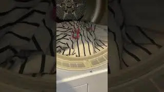 Μπάλες Στεγνωτηρίου-Πλυντηρίου Ρούχων για Τρίχες & Χνούδια - 3 τμχ.