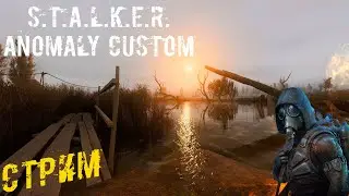 ☢️ S.T.A.L.K.E.R. Anomaly Custom ☢️ №1