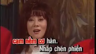 Hợp ca đêm thánh vô cùng - noel 1994