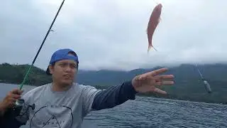 Mancing Dasaran Menggunakan Joran
