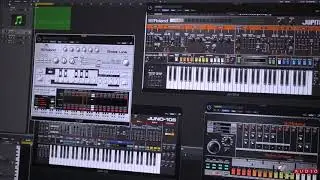 Pitbull Audio First Look - Roland Cloud TB 303 | Synthplex 2019
