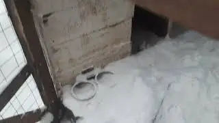 Баня почти готова. Снег снег снег.