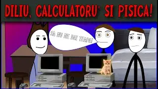 POVESTI DIN GENERALA: DILIU, CALCULATORU' SI PISICA!