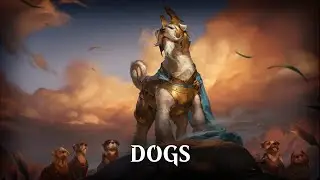 Pioneer Deck Tech - Dogs