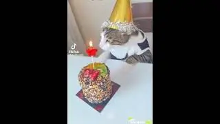 Bi de bayıl istersen Feriha