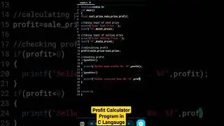 Profit Calculator Program in C Language