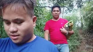 Farm travel