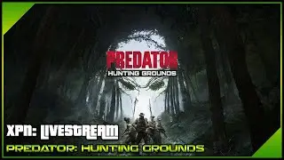 Predator: Hunting Grounds - Livestream